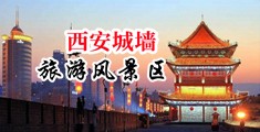 怎么抠逼抠到哭最舒服中国陕西-西安城墙旅游风景区